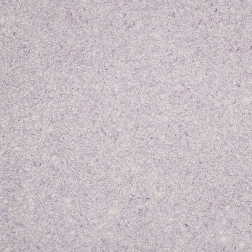 Silk Plaster Майстер Сілк 12